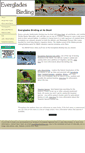 Mobile Screenshot of evergladesbirding.com